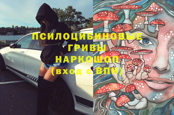 гидра Алексеевка