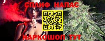 спайс Обь