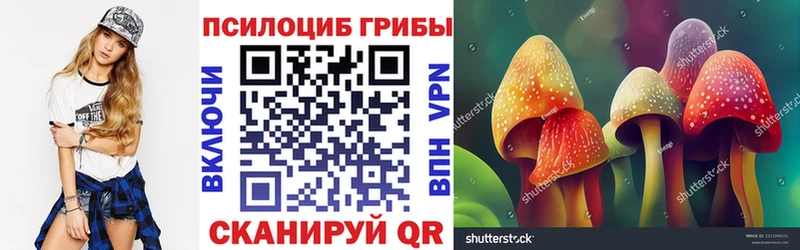 Псилоцибиновые грибы Psilocybine cubensis  Усть-Илимск 