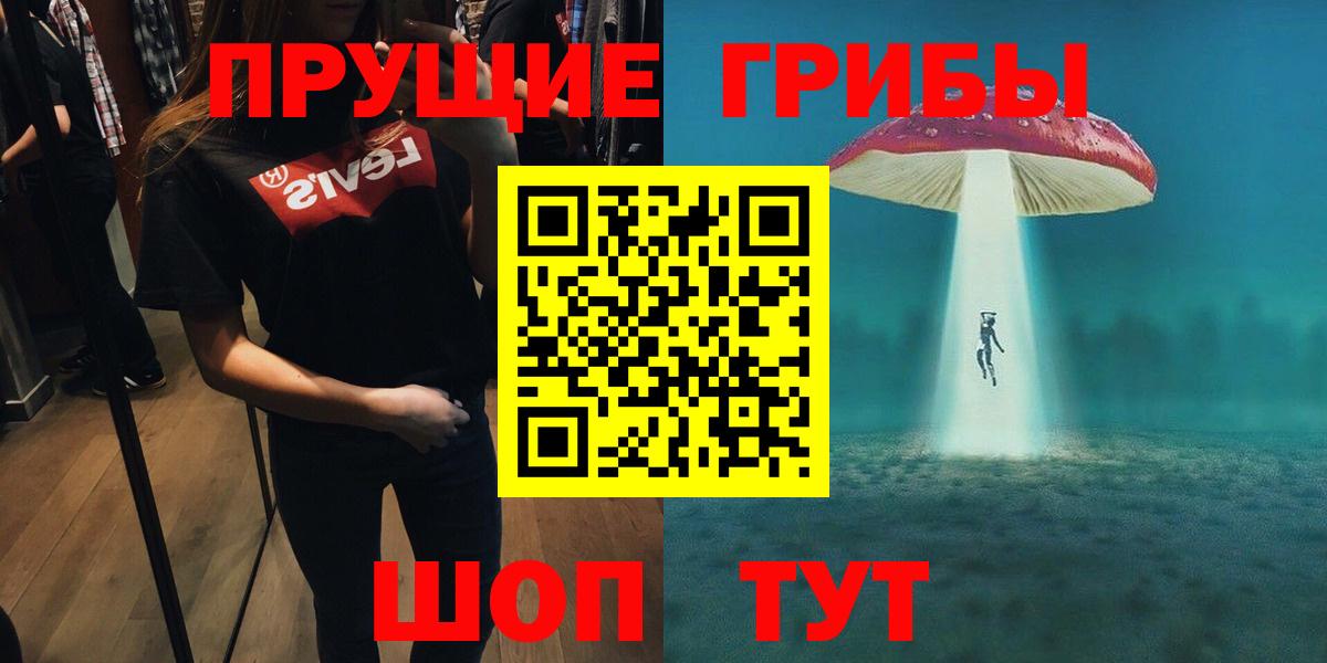 Галлюциногенные грибы Psilocybine cubensis Усть-Илимск